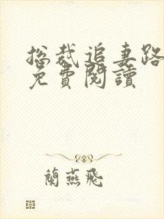 总裁追妻路漫漫免费阅读