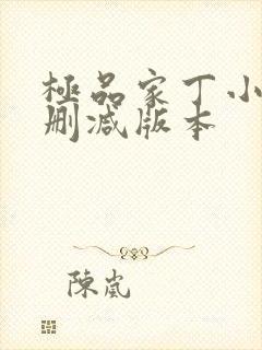 极品家丁小说无删减版本