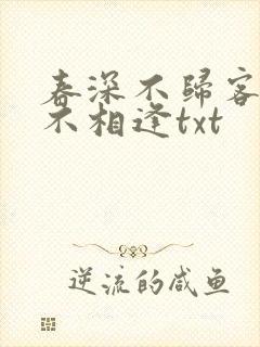 春深不归客清梦不相逢txt封面