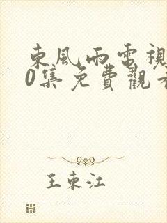 东风雨电视剧40集免费观看视频大全封面