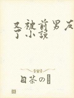 又被前男友盯住了小说