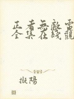 正者无敌电视剧全集在线观看免费