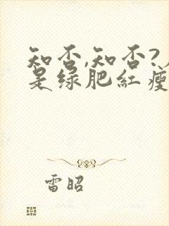 知否,知否?应是绿肥红瘦原著封面