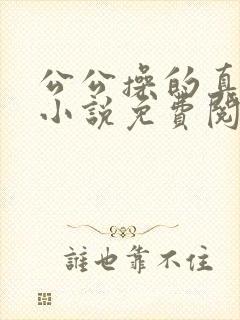 公公操的真舒服小说免费阅读封面