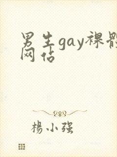 男生gay裸体网站