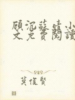 顾沉苏晴小说全文免费阅读最新章节