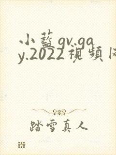 小蓝gv.gay.2022视频网站封面