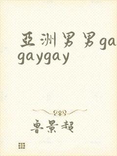 亚洲男男gaygaygay
