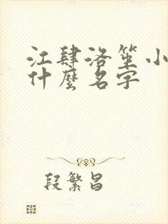 江肆洛笙小说叫什么名字