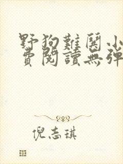 野狗难哄小说免费阅读无弹窗全文封面