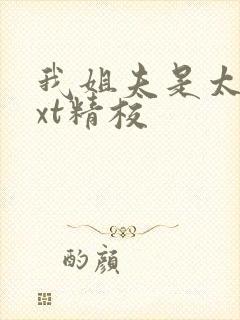 我姐夫是太子txt精校