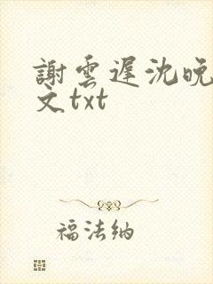 谢云迟沈晚梨全文txt