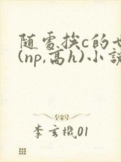 随处挨c的世界(np,高h)小说女