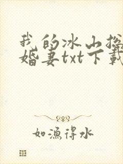 我的冰山总裁未婚妻txt下载封面