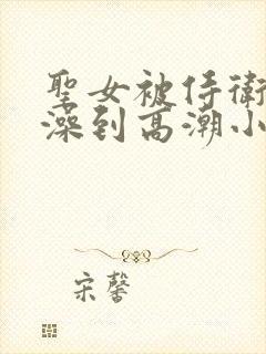 圣女被侍卫伦流澡到高潮小说封面