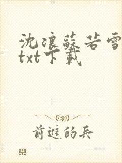 沈浪苏若雪全文txt下载