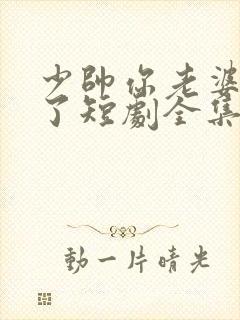 少帅你老婆又跑了短剧全集免费观看