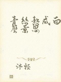 青丝熬成白发什么意思