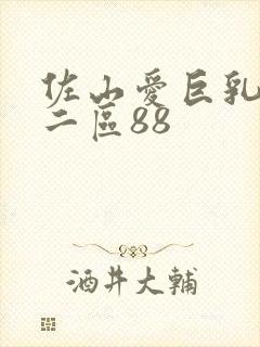 佐山爱巨乳一区二区88