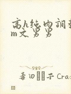 高h纯肉调教sm文男男