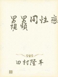 男男同性恋激情视频