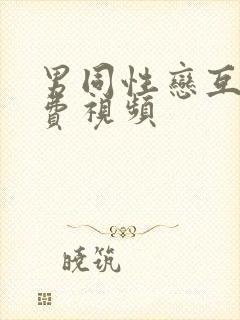 男同性恋互操免费视频