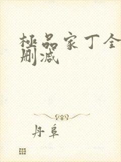 极品家丁全本无删减封面