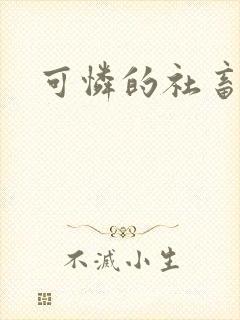 可怜的社畜小说