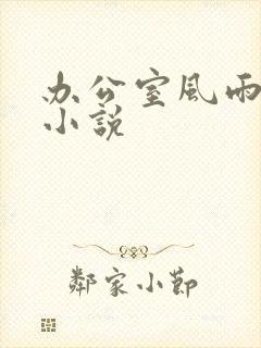 办公室风雨完整小说