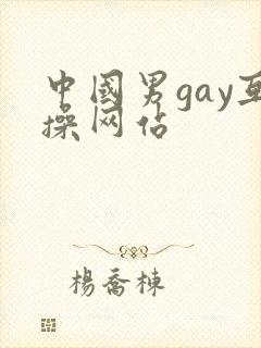 中国男gay互操网站