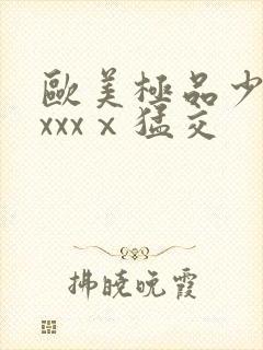 欧美极品少妇xxxxⅹ猛交