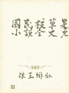 国民校草是女生小说全文免费阅读封面