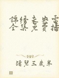 锦绣未央电视剧全集免费播放西瓜封面