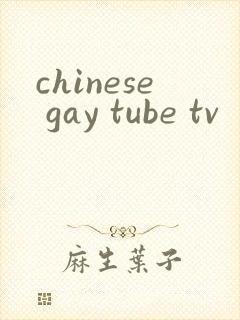 chinese gay tube tv