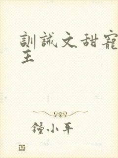 训诫文甜宠双男主封面