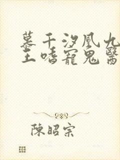 慕千汐凰九夜邪王嗜宠鬼医狂妃无弹窗封面