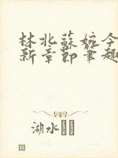 林北苏婉今天最新章节笔趣阁