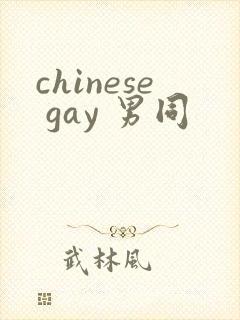 chinese gay 男同