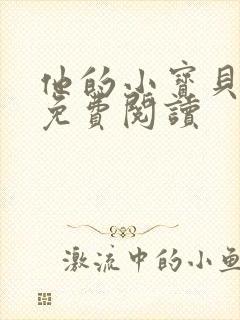 他的小宝贝全文免费阅读