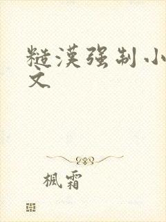 糙汉强制小说h文