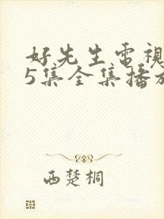 好先生电视剧45集全集播放免费观看