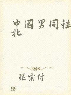 中国男同性恋东北