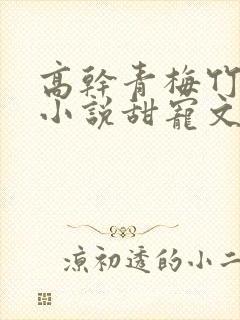 高干青梅竹马的小说甜宠文