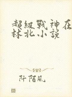 超级战神在都市林北小说
