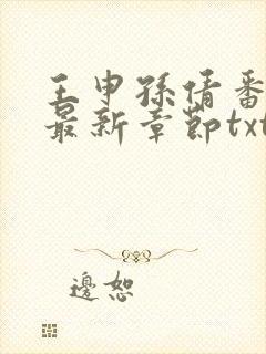 王申孙倩番外篇最新章节txt