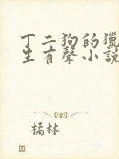 丁二狗的猎艳人生有声小说