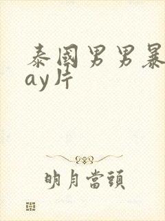 泰国男男暴菊gay片