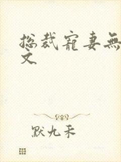 总裁宠妻无度全文封面