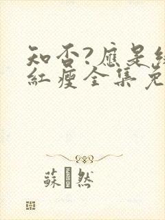 知否?应是绿肥红瘦全集免费