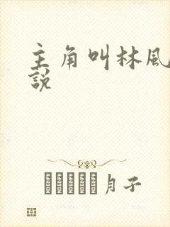 主角叫林风的小说